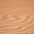 Clean crown cut Douglas fir