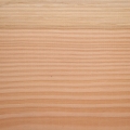 Quarter sawn Douglas fir showing pale sapwood